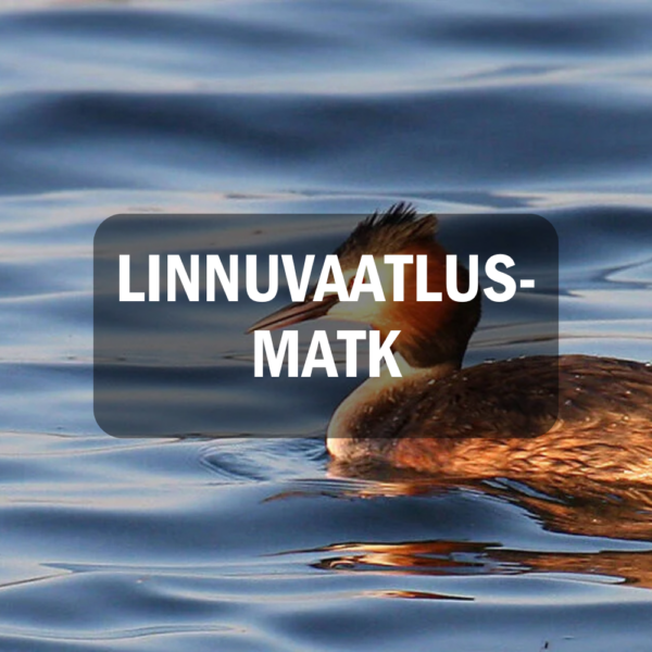 360 KRAADI LINNUVAATLUSMATK