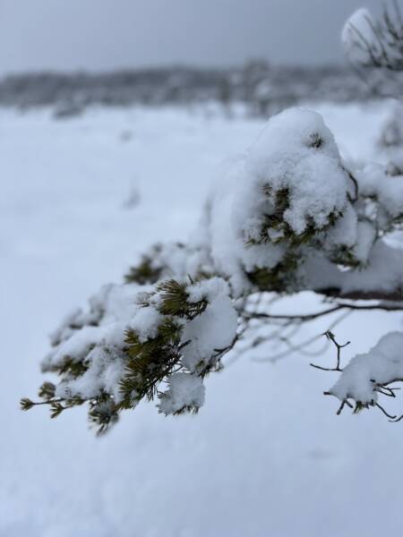 Lumine loodus räätsamatkal
