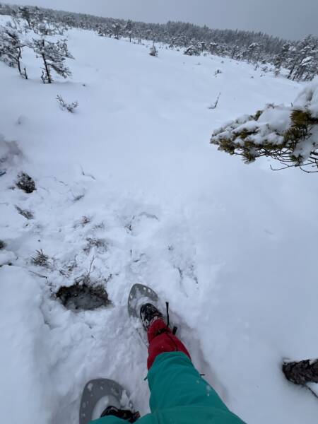 Lumine loodus räätsamatkal