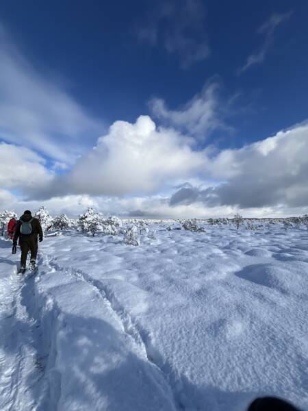 Lumine loodus räätsamatkal