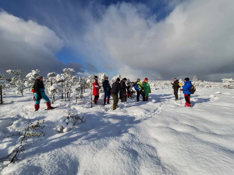 Tiina praktikal räätsamatkal