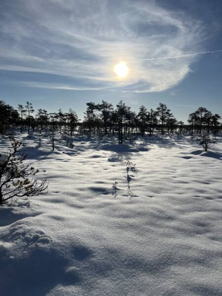 Tiina praktikal räätsamatkal