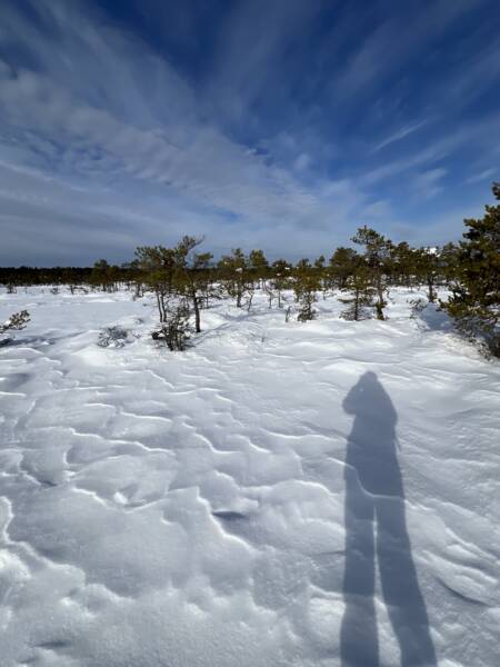 Lumine loodus räätsamatkal