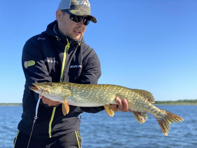 Timo Tintse 360 kraadi estfish