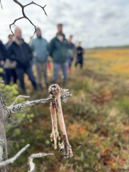 räätsamatk kakerdaja rabas