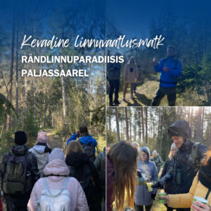 linnuvaatlusmatk paljassaarel