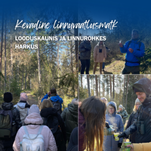 linnuvaatlusmatk harkus