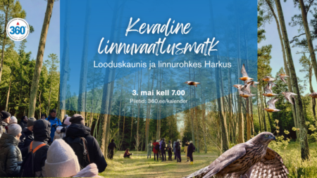 Linnuvaatlusmatk Harkus 3. mail