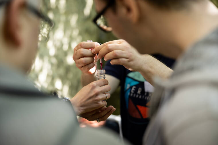 360 KRAADI suvepäevad